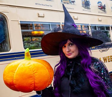 Fun Halloween Trail