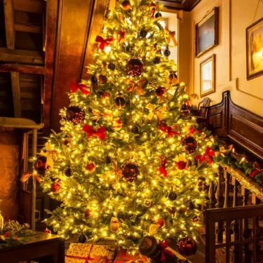 Christmas at Calke Abbey